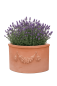 Preview: Angoliera festonata – pot mural d’angle décoratif, style toscan, résistant au gel